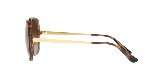 Vogue Eyewear Sunglasses VO5405S 238613