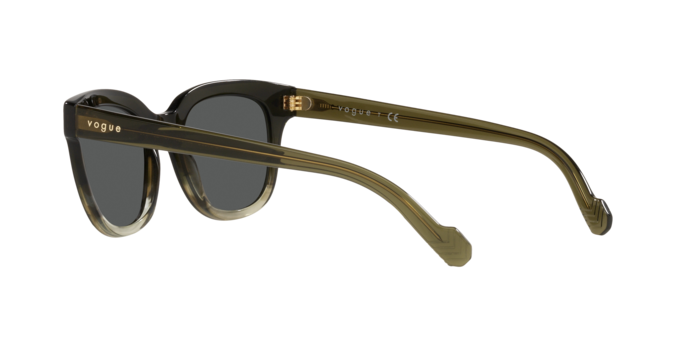 Vogue Eyewear Sunglasses VO5408S 297087