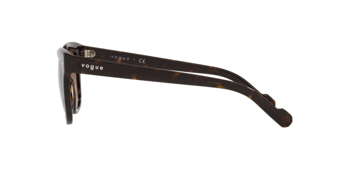 Vogue Eyewear Sunglasses VO5408S W65613