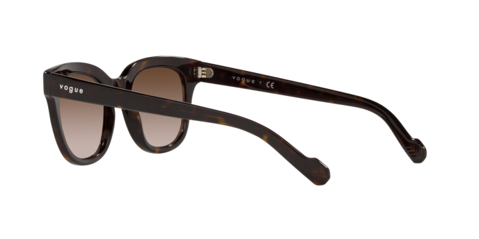 Vogue Eyewear Sunglasses VO5408S W65613