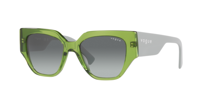 Vogue Sunglasses VO5409S 295311
