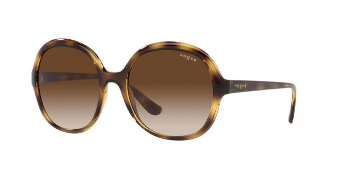 Vogue Eyewear Sunglasses VO5410S W65613