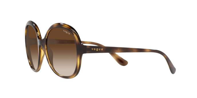 Vogue Eyewear Sunglasses VO5410S W65613