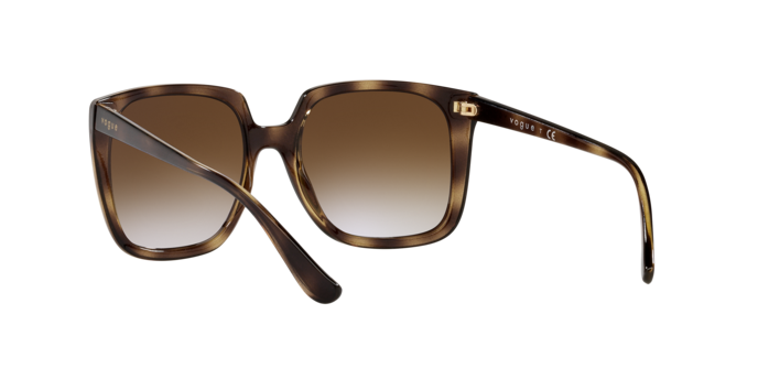 Vogue Eyewear Sunglasses VO5411S W65613