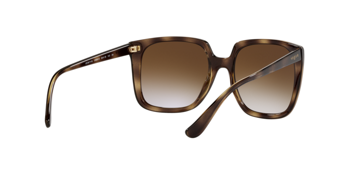 Vogue Eyewear Sunglasses VO5411S W65613