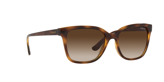 Vogue Eyewear Sunglasses VO5426S W65613