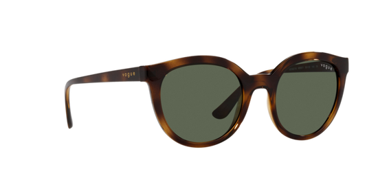 Vogue Eyewear Sunglasses VO5427S W65671