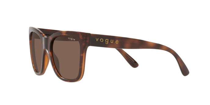 Vogue Eyewear Sunglasses VO5428S 238673