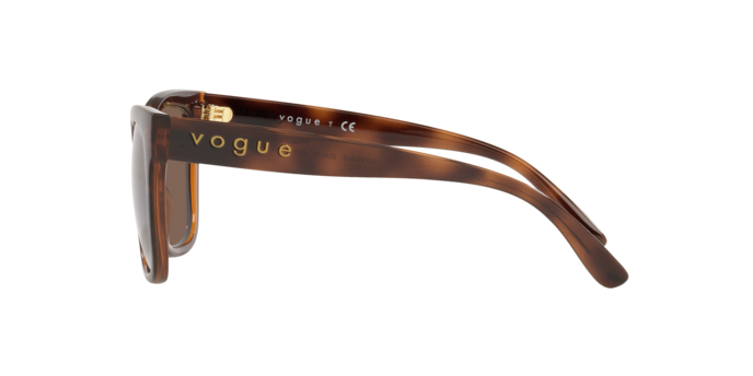 Vogue Eyewear Sunglasses VO5428S 238673