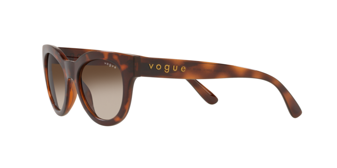 Vogue Eyewear Sunglasses VO5429S 238613