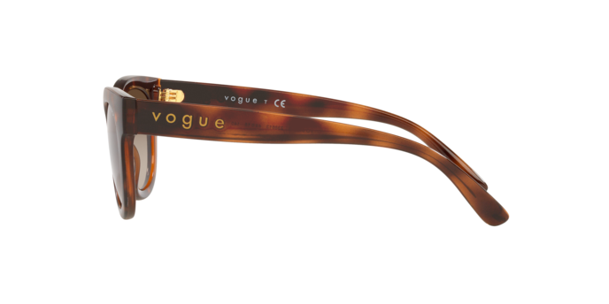 Vogue Eyewear Sunglasses VO5429S 238613
