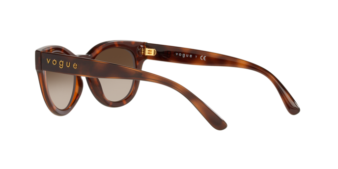 Vogue Eyewear Sunglasses VO5429S 238613