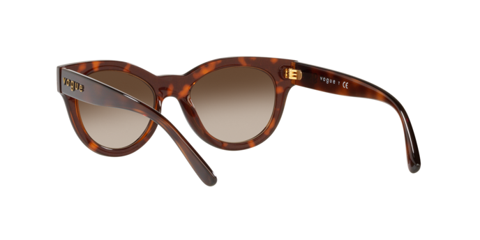 Vogue Eyewear Sunglasses VO5429S 238613