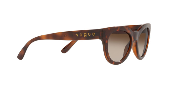 Vogue Eyewear Sunglasses VO5429S 238613