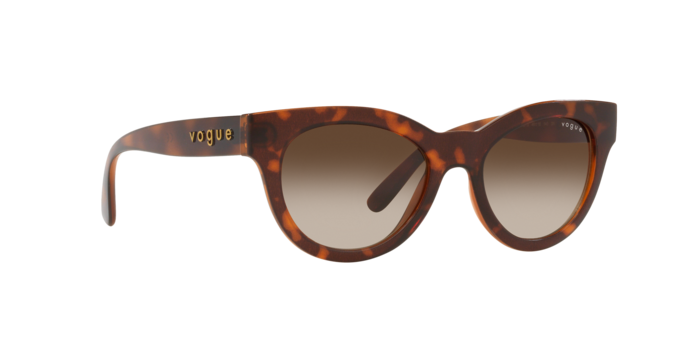 Vogue Eyewear Sunglasses VO5429S 238613