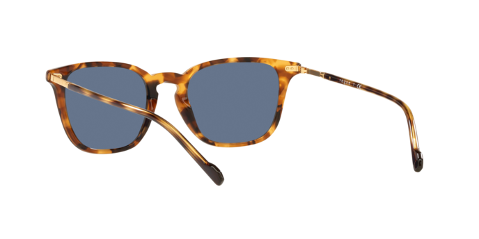 Vogue Eyewear Sunglasses VO5431S 281980