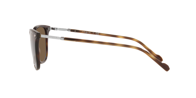 Vogue Eyewear Sunglasses VO5431S W65673