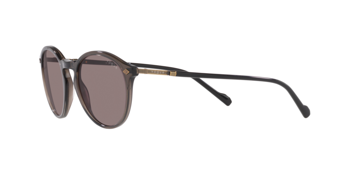 Vogue Eyewear Sunglasses VO5432S 29237N