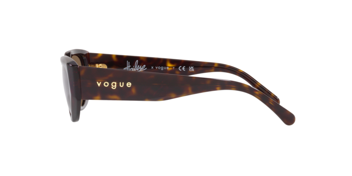 Vogue Sunglasses VO5438S W65673