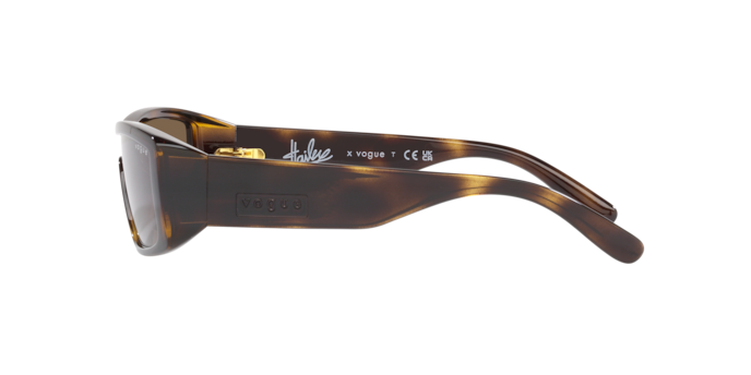 Vogue Sunglasses VO5442S 271873