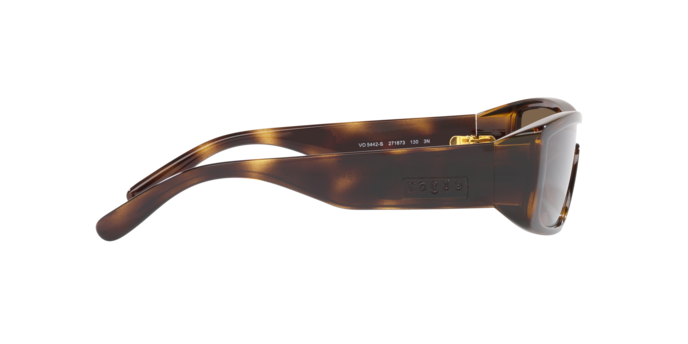 Vogue Sunglasses VO5442S 271873