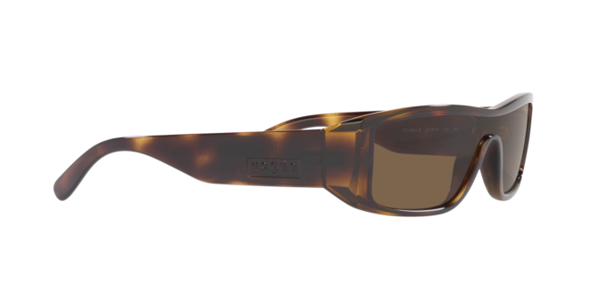 Vogue Sunglasses VO5442S 271873