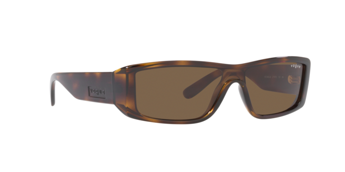 Vogue Sunglasses VO5442S 271873