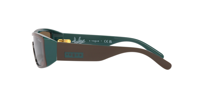 Vogue Sunglasses VO5442S 300173