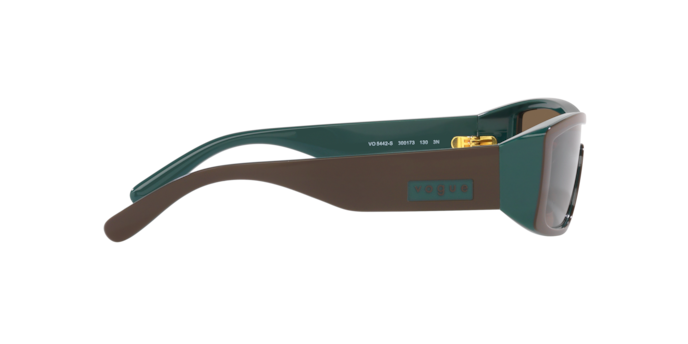 Vogue Sunglasses VO5442S 300173