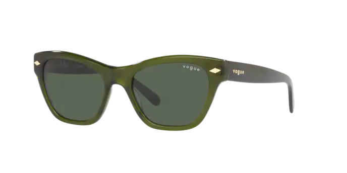 Vogue Sunglasses VO5445S 300371