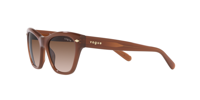 Vogue Sunglasses VO5445S 301013