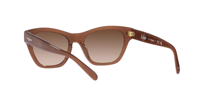 Vogue Sunglasses VO5445S 301013