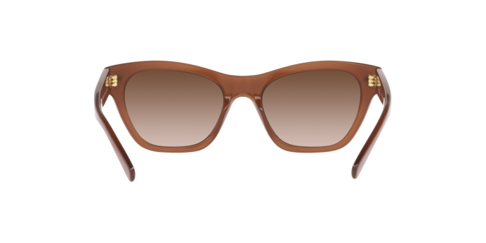 Vogue Sunglasses VO5445S 301013