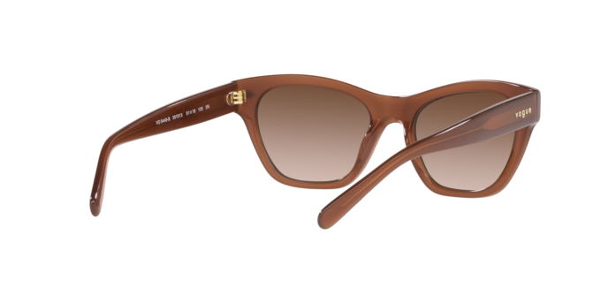 Vogue Sunglasses VO5445S 301013