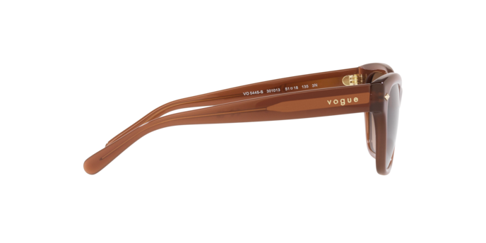 Vogue Sunglasses VO5445S 301013