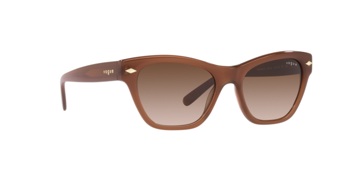 Vogue Sunglasses VO5445S 301013