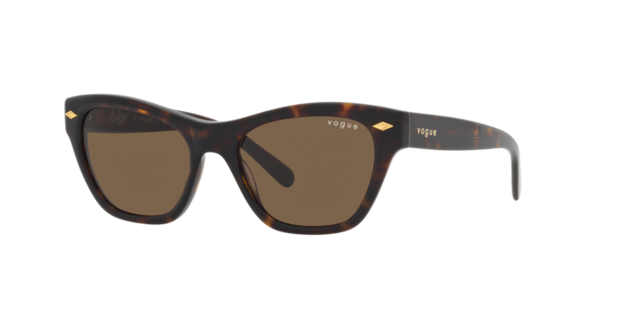 Vogue Sunglasses VO5445S W65673