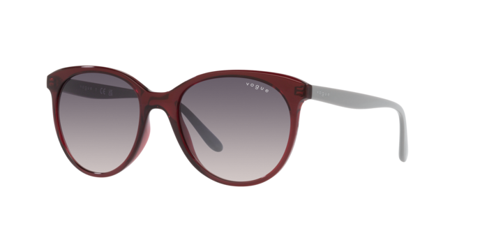 Vogue Sunglasses VO5453S 292436