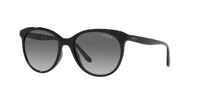 Vogue Sunglasses VO5453S W44/11