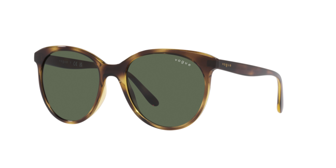 Vogue Sunglasses VO5453S W65671