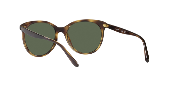 Vogue Sunglasses VO5453S W65671