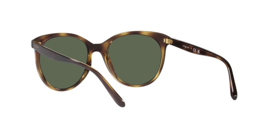 Vogue Sunglasses VO5453S W65671