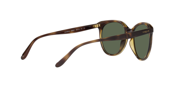 Vogue Sunglasses VO5453S W65671