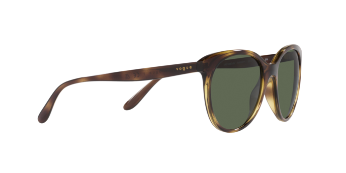 Vogue Sunglasses VO5453S W65671