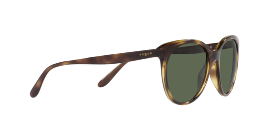 Vogue Sunglasses VO5453S W65671