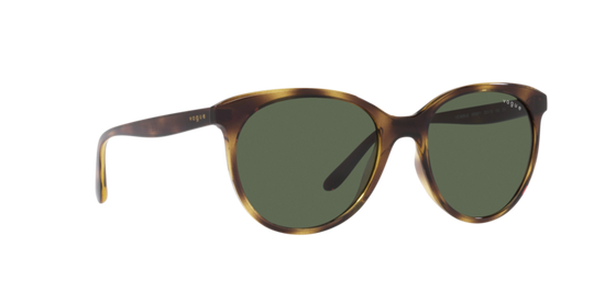 Vogue Sunglasses VO5453S W65671