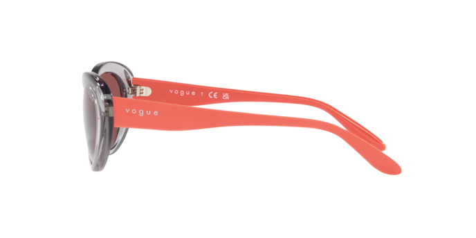 Vogue Sunglasses VO5456S 272669