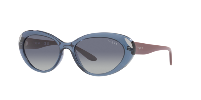 Vogue Sunglasses VO5456S 27644L