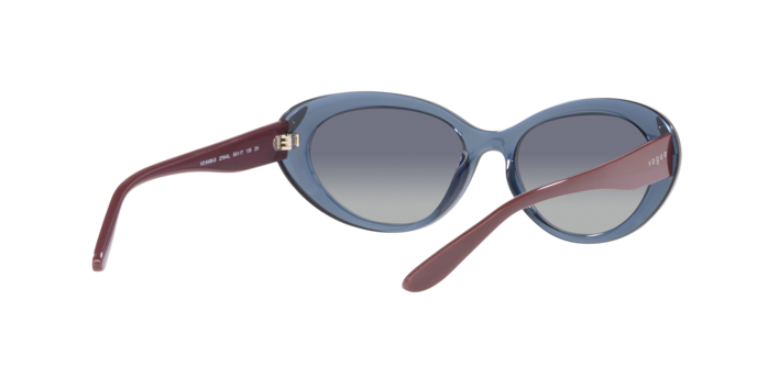 Vogue Sunglasses VO5456S 27644L