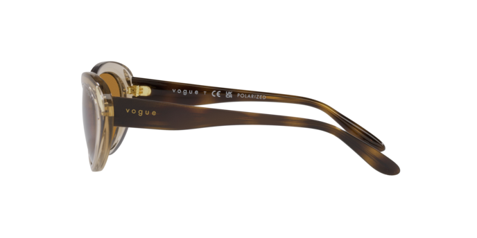 Vogue Sunglasses VO5456S 299083